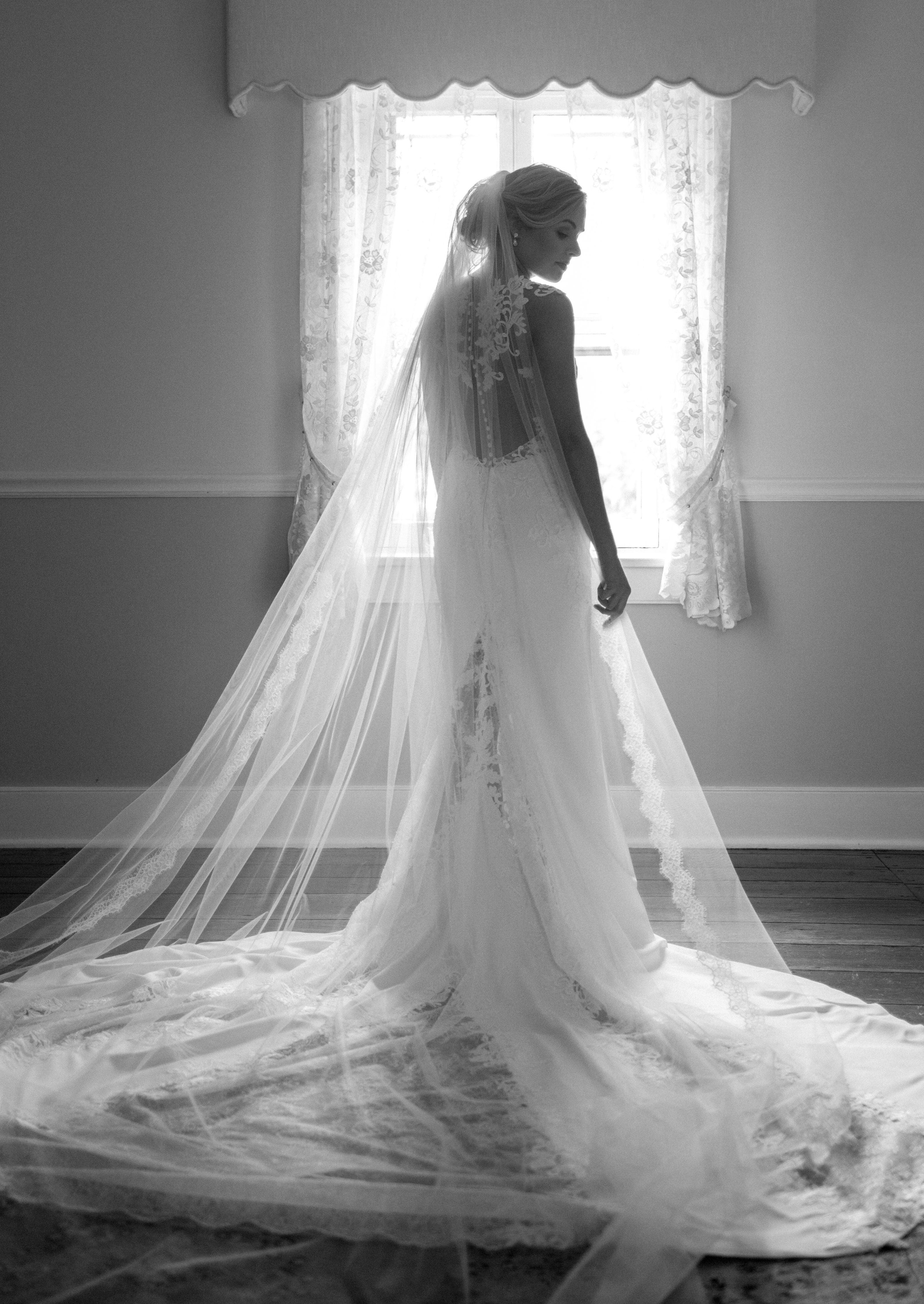 wedding veil photo