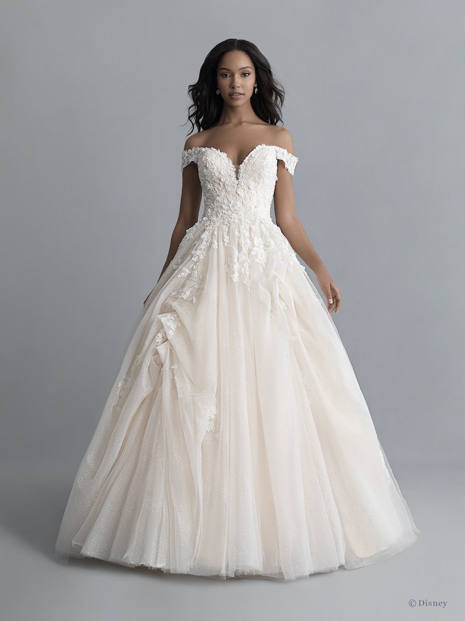 Off-the-shoulder V-neckline Tulle 