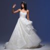Strapless Sweetheart Neckline Embroidered Tulle Ball Gown Wedding Dress by Lazaro - Image 1
