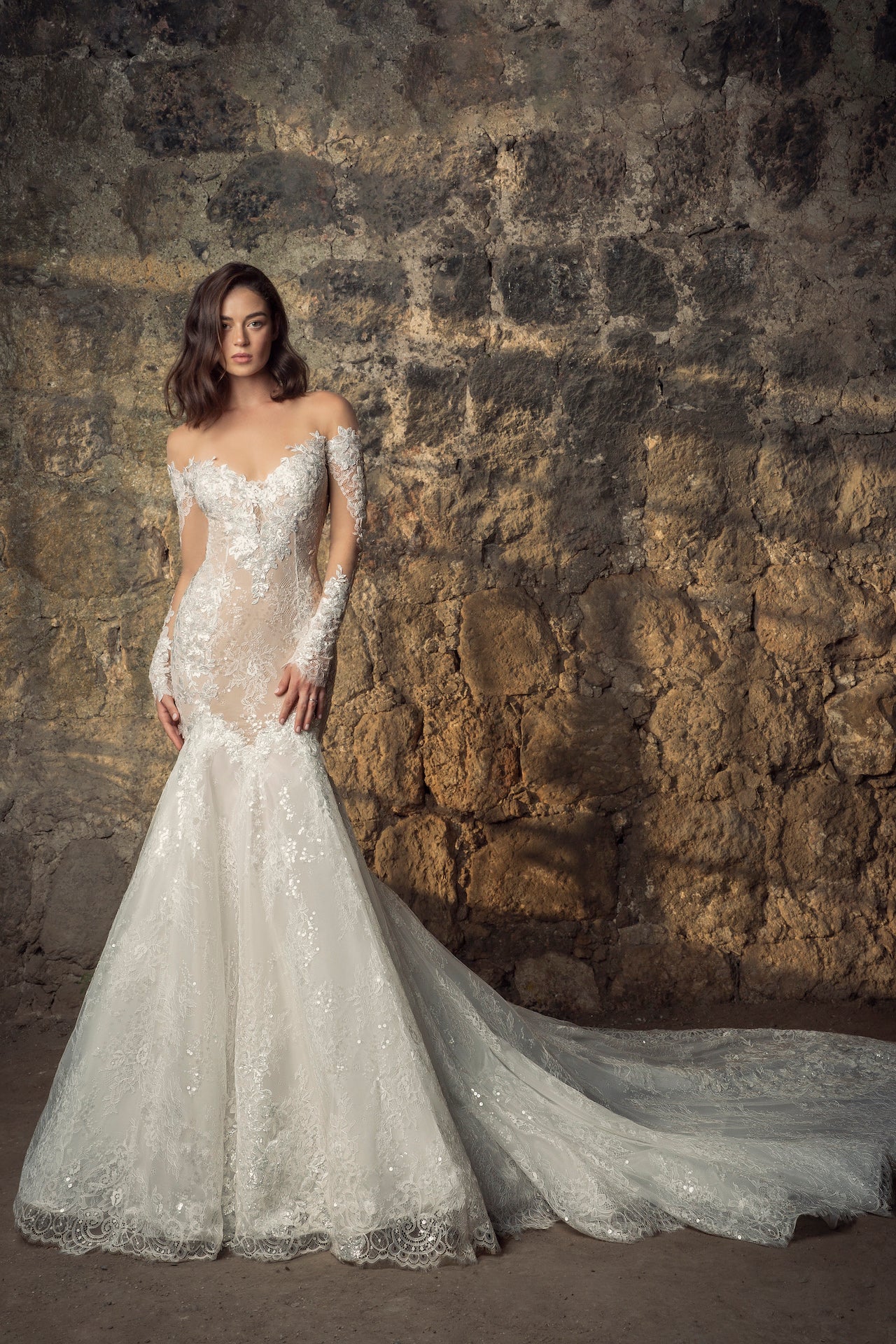 Mermaid Wedding Dress With Lace Sleeves ...