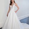 Sleeveless A-line Wedding Dress With V-neckline by Martina Liana - Image 1