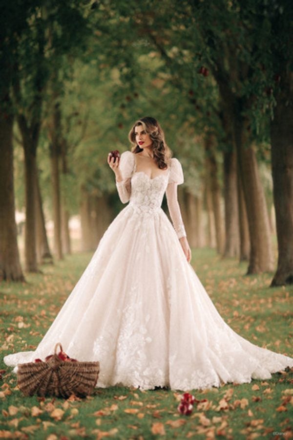 Long Sleeve Ball Gown Wedding Dress With Sparkle Tulle by Disney Fairy Tale Weddings Platinum Collection - Image 1