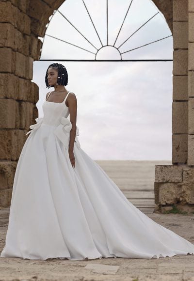 Sleeveless Ball Gown Wedding Dress With Open Back by Love by Pnina Tornai