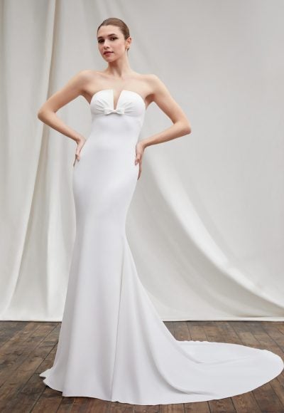 Modern Elegant Strapless Fit And Flare Gown by Alberto Palatchi