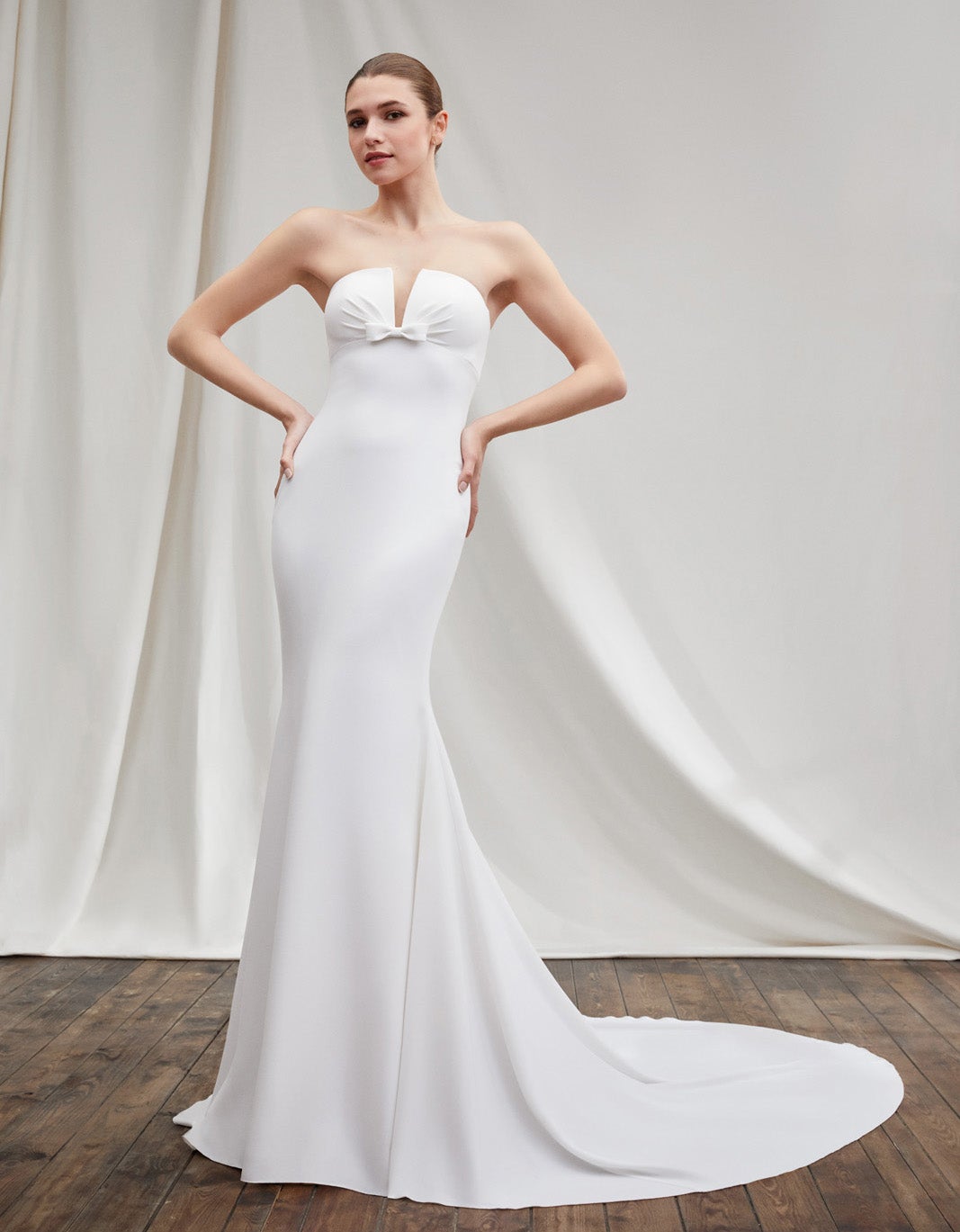 Modern Elegant Strapless Fit And Flare Gown by Alberto Palatchi - Image 1