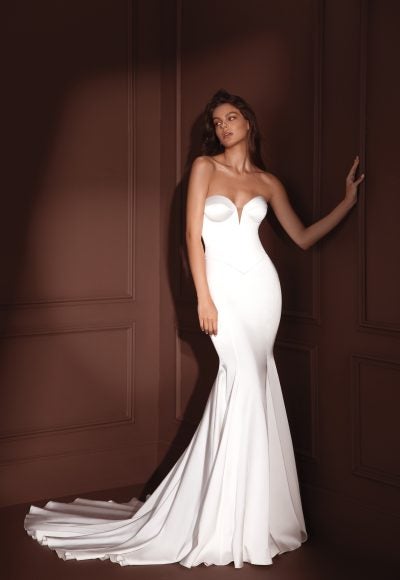 Fit And Flare Corseted Gown by Pnina Tornai