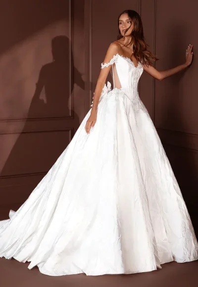Ballgown with sheer back bodice by Pnina Tornai