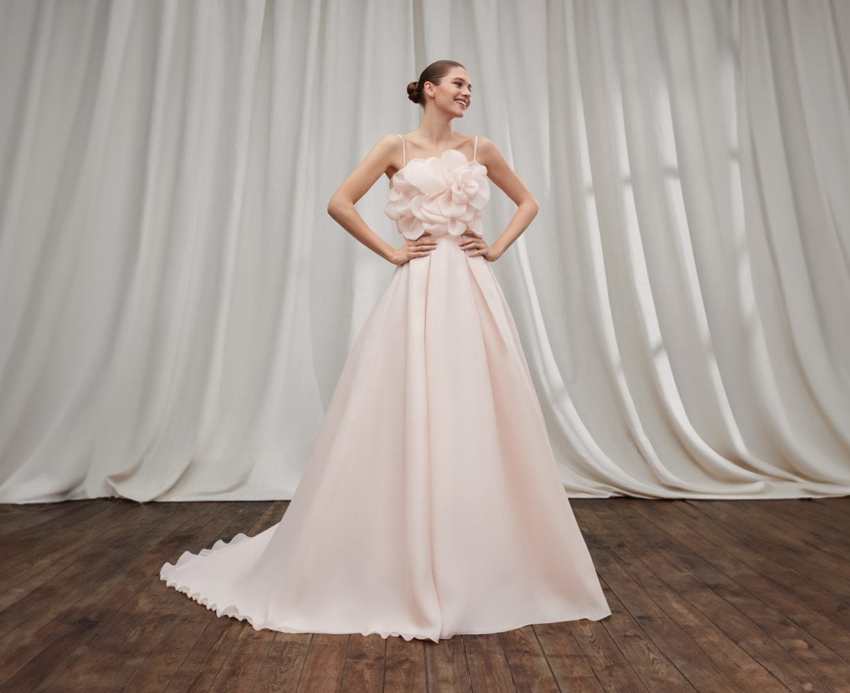 Blush Pink Princess Wedding Dress Elegant Applique – ROYCEBRIDAL OFFICIAL  STORE