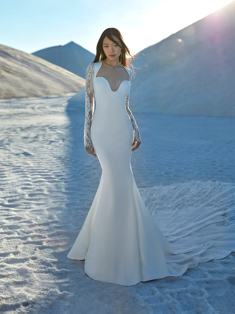 Illusion Long Sleeve Fit-and-Flare Gown by Pronovias - Image 1