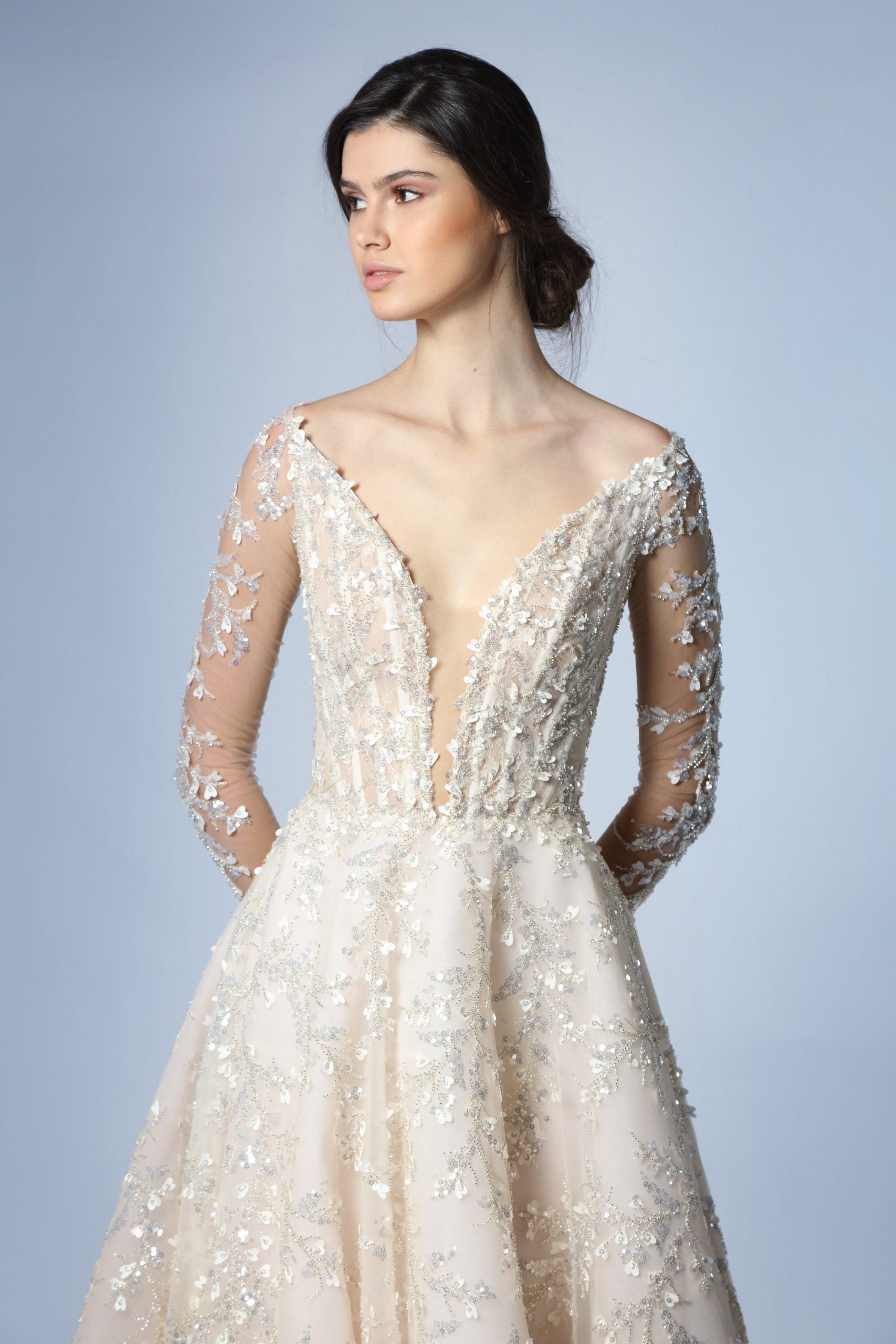 Illusion Long Sleeve A-Line Gown With Organic Embroidery by Tony Ward - Image 2