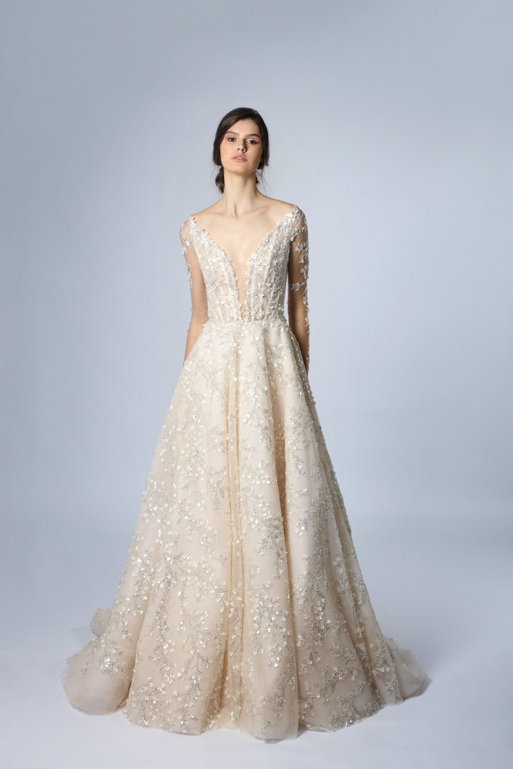 Illusion Long Sleeve A-Line Gown With Organic Embroidery by Tony Ward - Image 1