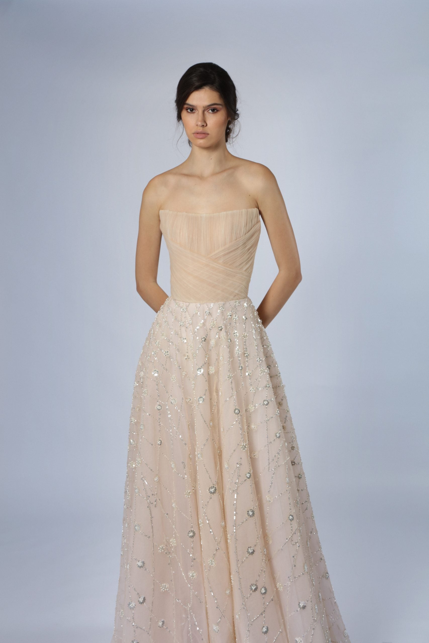 Blush A-Line Gown With Silver Embroidery by Tony Ward - Image 2