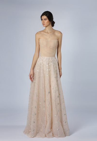 Blush A-Line Gown With Silver Embroidery by Tony Ward