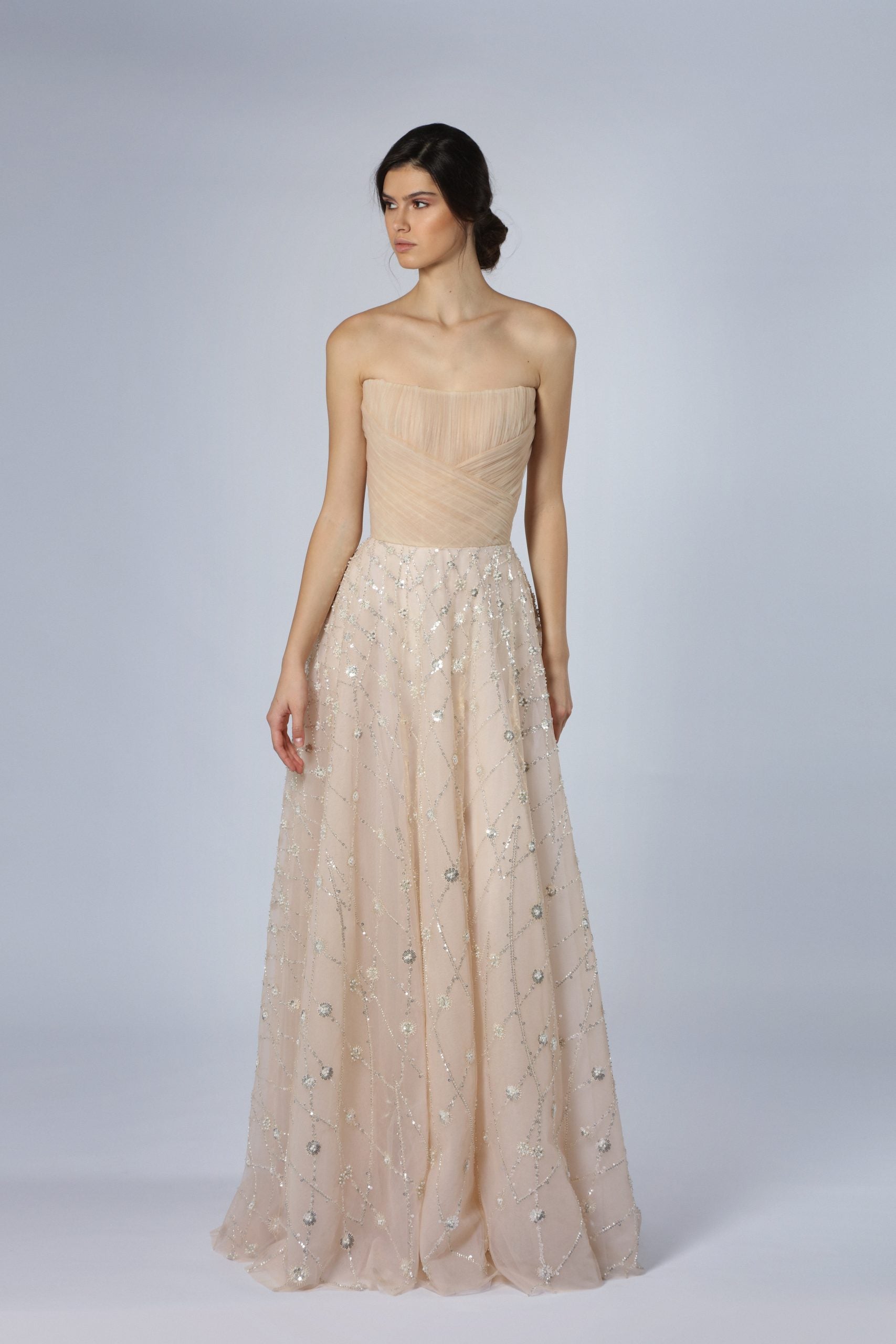 Blush A-Line Gown With Silver Embroidery by Tony Ward - Image 1