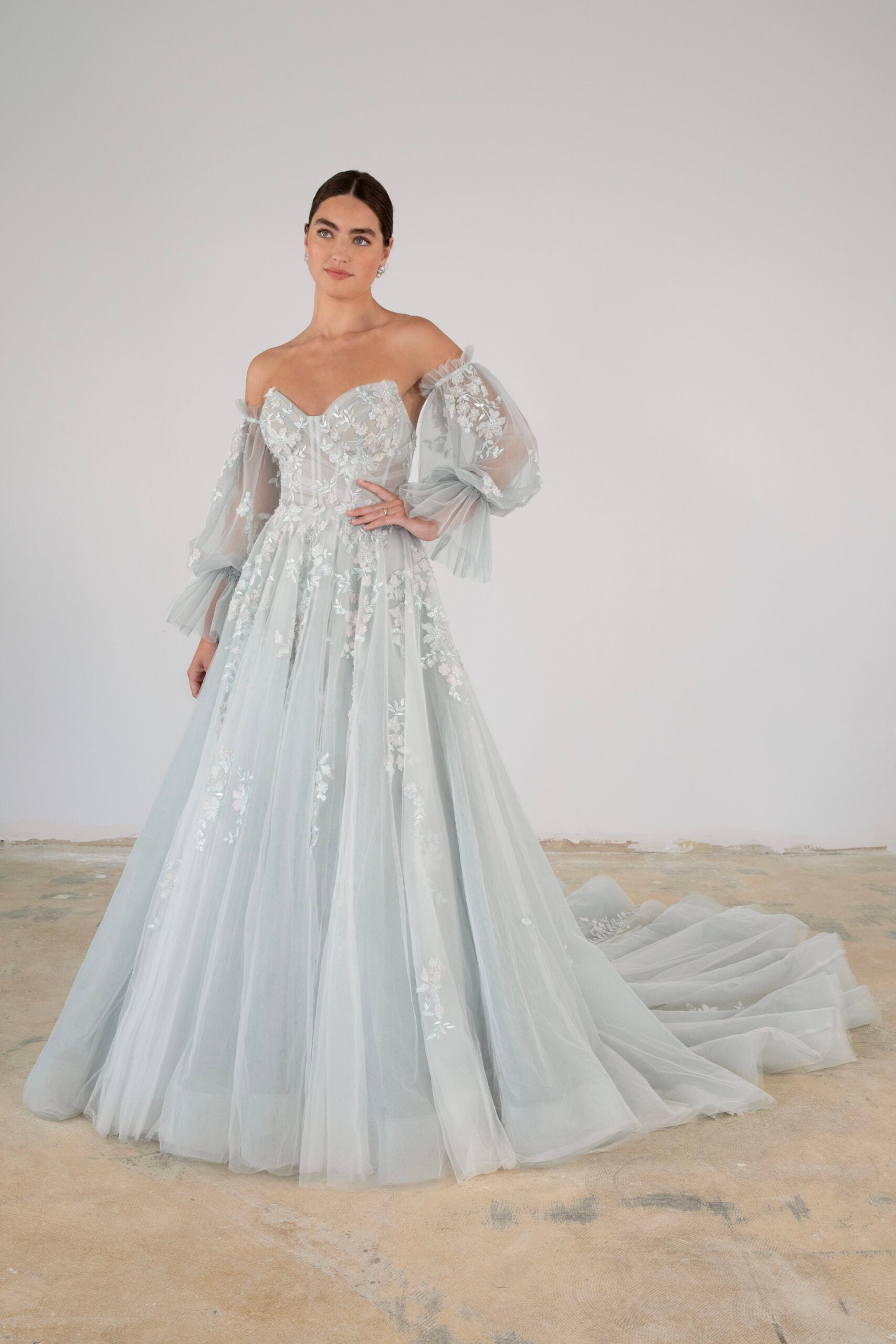 Blue Tulle Ball Gown With Detachable Sleeves by Martina Liana Luxe - Image 1