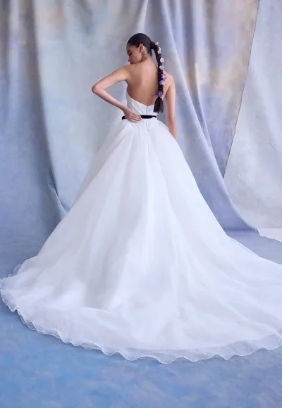 Romantic And Ethereal Silk Organza Drop-Waist Ball Gown by Ines by Ines Di Santo - Image 2