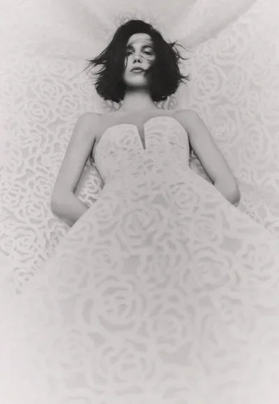 Artistic Rose-Lace A-Line Wedding Dress by Pronovias - Image 2