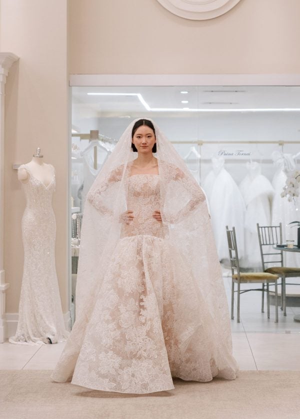 Lace Drop Waist Fit-and-Flare Wedding Dress by Love by Pnina Tornai - Image 1