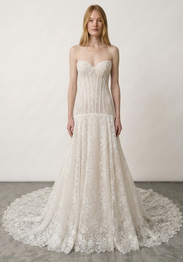 Modern Drop Waist Lace Fit-and-Flare Wedding Dress by Love by Pnina Tornai - Image 1